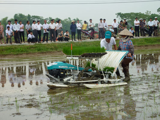 Trình diễn máy cấy lúa Kubota tại xã Quang Tiến - Tân Yên